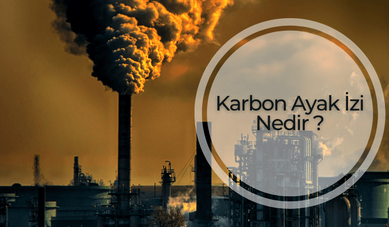 Kurumsal Karbon Ayak İzi Nedir ve Neden Önemlidir?